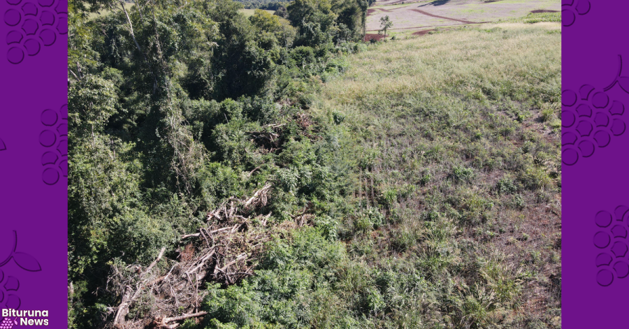 IAT aplica R$ 2,2 milhões em multas durante megaoperação contra desmatamento ilegal no Sudoeste