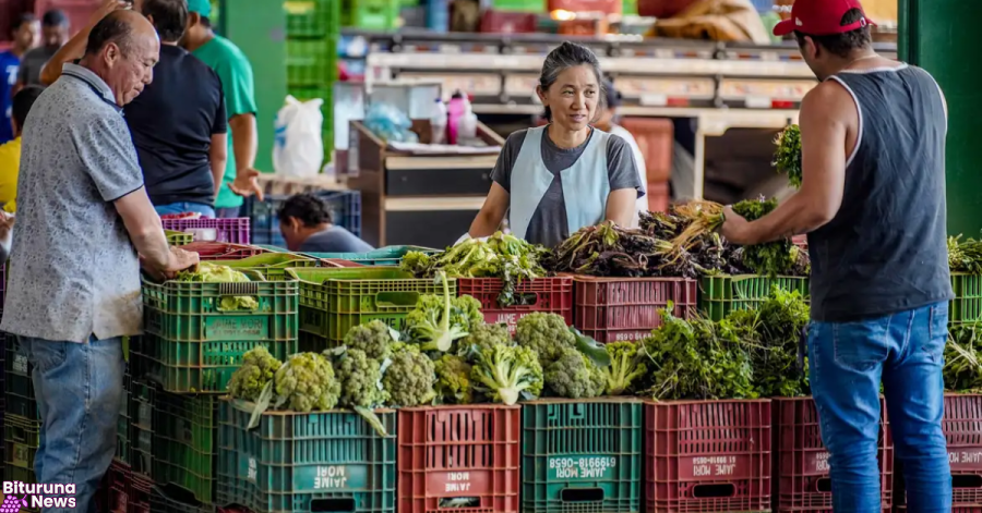 Anvisa inicia nova etapa de monitoramento de agrotóxicos em alimentos