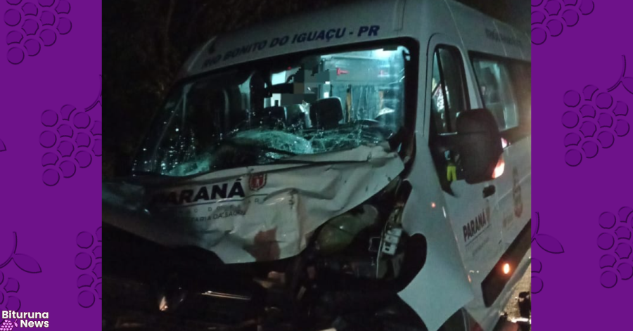 Colisão entre van da saúde de Rio Bonito do Iguaçu e caminhão deixa uma mulher ferida na BR-277, em Irati