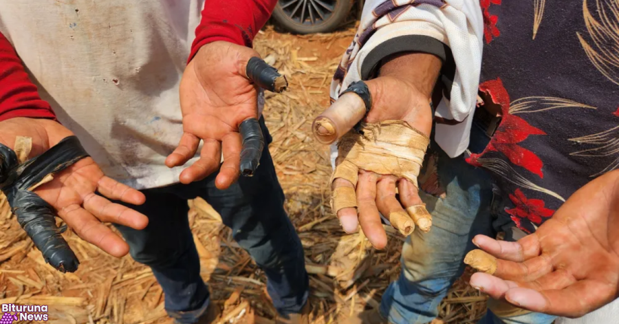 Denúncias de trabalho escravo atingem novo recorde histórico no Brasil