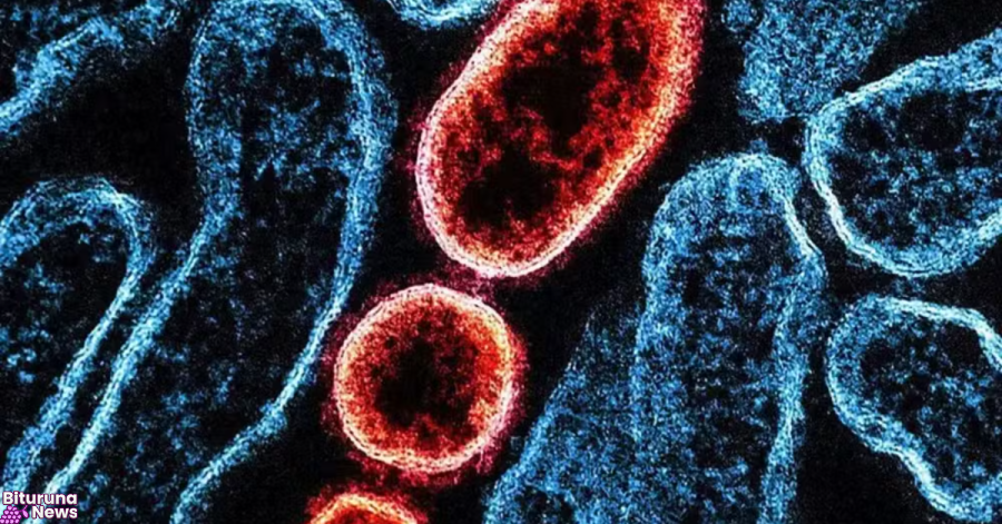 Novo surto de vírus Nipah na Índia deixa países asiáticos em alerta e reforça segurança em aeroportos