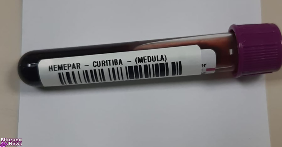 Fevereiro Laranja: mês da conscientização sobre leucemia reforça papel do diagnóstico