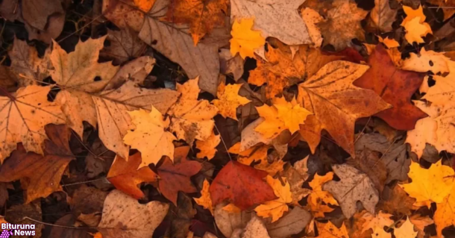 Mês de transição, março terá temperaturas mais amenas e menos chuva, prevê Simepar