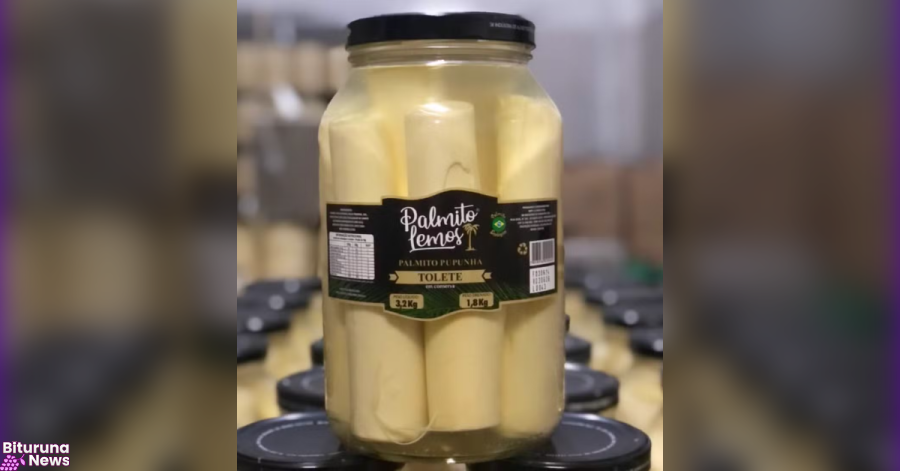 Anvisa proíbe venda de palmito em conserva da marca Palmito Lemos por irregularidades sanitárias