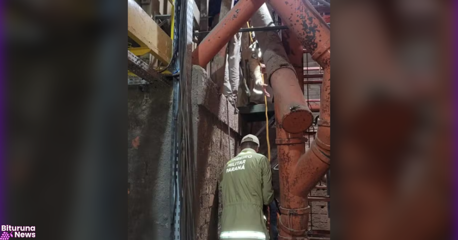 Homem de 43 anos morre soterrado por milho em fosso de sementes no Paraná