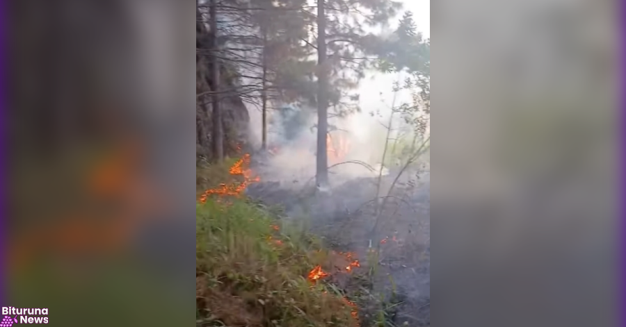 Fogo atinge vegetação às margens da BR-153 em União da Vitória