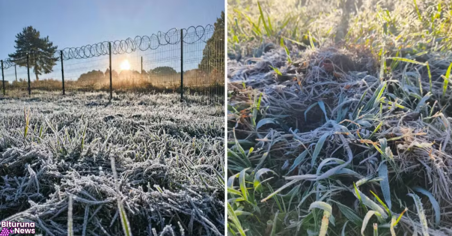 Geada e sensação de inverno: Sul do Paraná registra as menores temperaturas do ano
