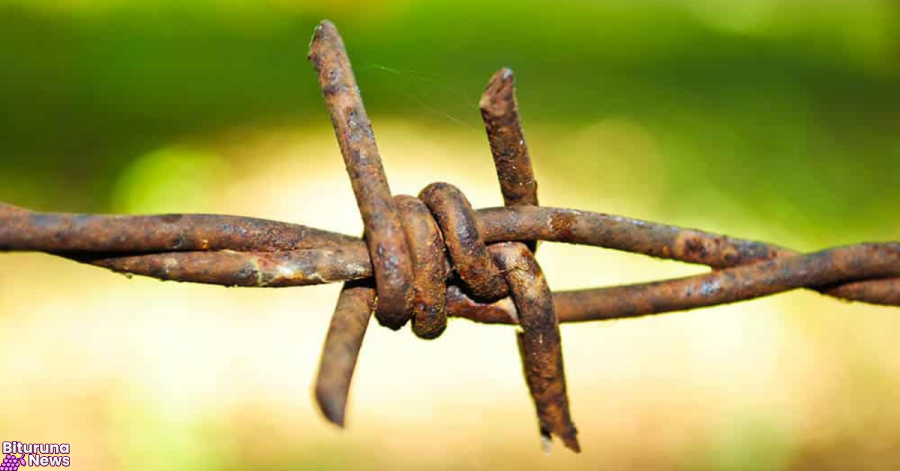 Ferimento com terra ou poeira pode causar tétano; vacina de reforço é necessária a cada 10 anos