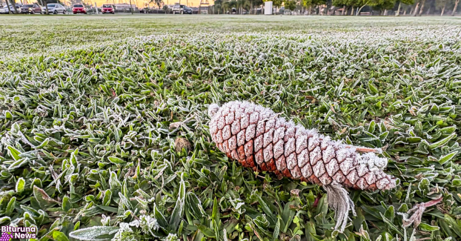 Sinais de inverno: maio terá frentes frias, geada e temperaturas abaixo de 10°C