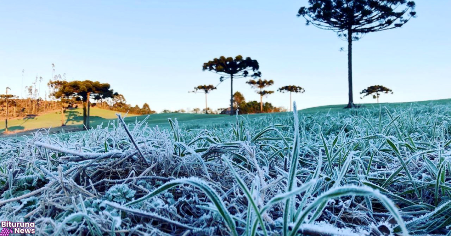 Nova previsão de geada e termômetros a 0ºC no Sul do Paraná na próxima semana