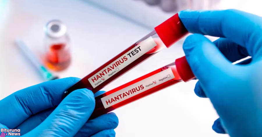 Paraná confirma dois casos de hantavírus e investiga outros 11