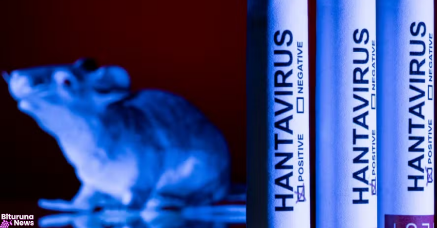 OMS descarta indícios de ''surto maior'' de hantavírus