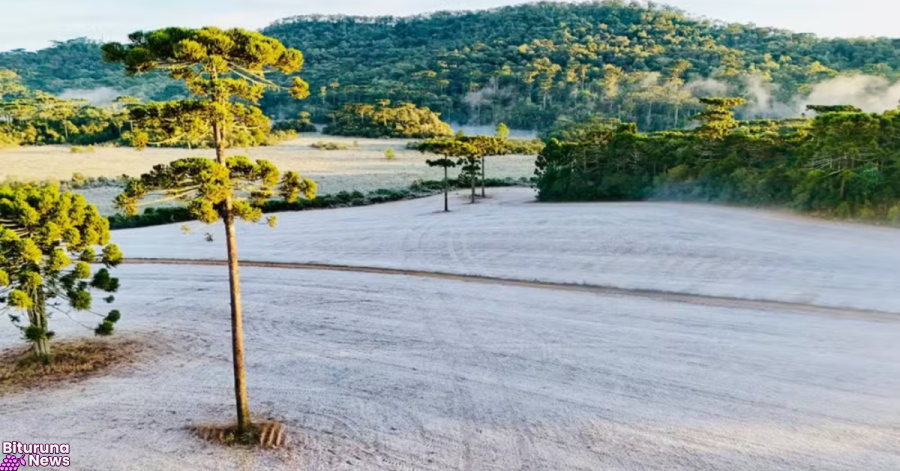 Paraná registra geada e temperaturas negativas pelo terceiro dia seguido