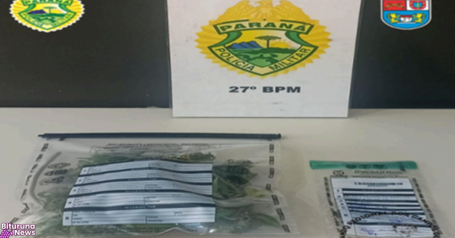 Planta de maconha é localizada pela ROTAM durante patrulhamento em União da Vitória
