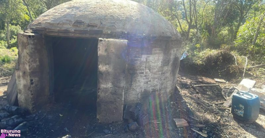Pinhão tem fazendeiro multado em R$ 25 mil por desmatamento ilegal e forno de carvão em área protegida
