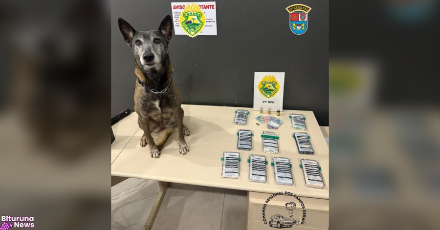 Tráfico de drogas termina com prisão e apreensão em General Carneiro
