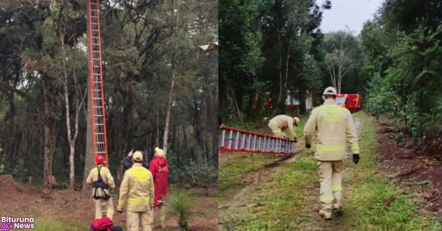 Homem passa mal no topo de araucária e é resgatado pelos bombeiros em São Mateus do Sul