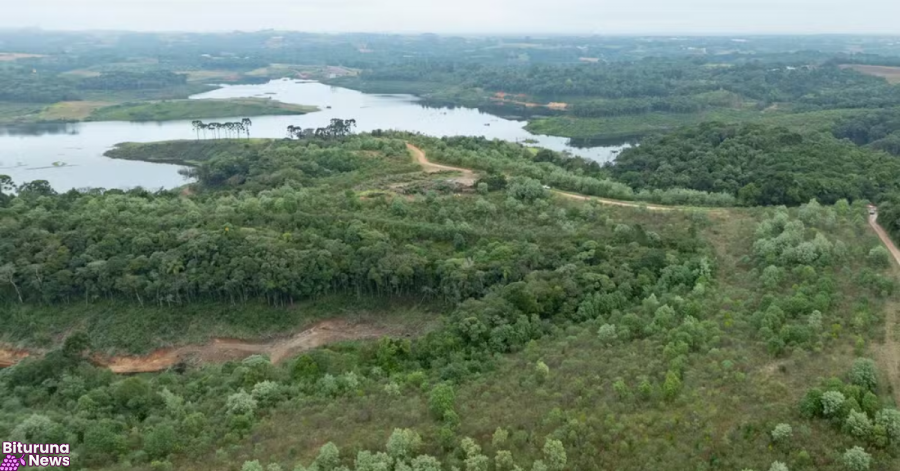 Paraná tem alta de 59% no desmatamento em 2025; Prudentópolis e Guarapuava estão entre as cidades que mais desmataram