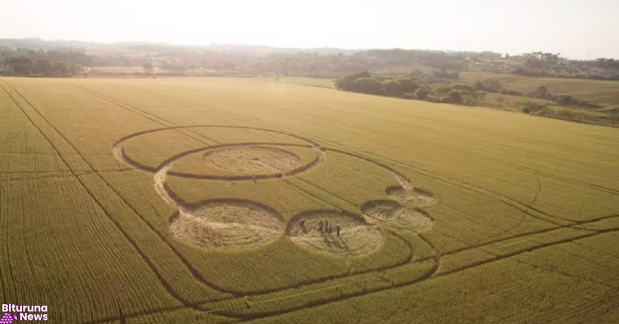 OVNIs no Paraná? Relembre casos misteriosos que levantaram suspeitas de visitas extraterrestres no estado