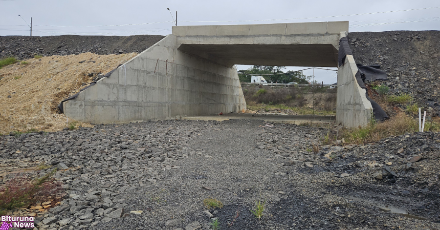Obra da PR-364 em Irati é retomada após estudo de fósseis de répteis pré-históricos