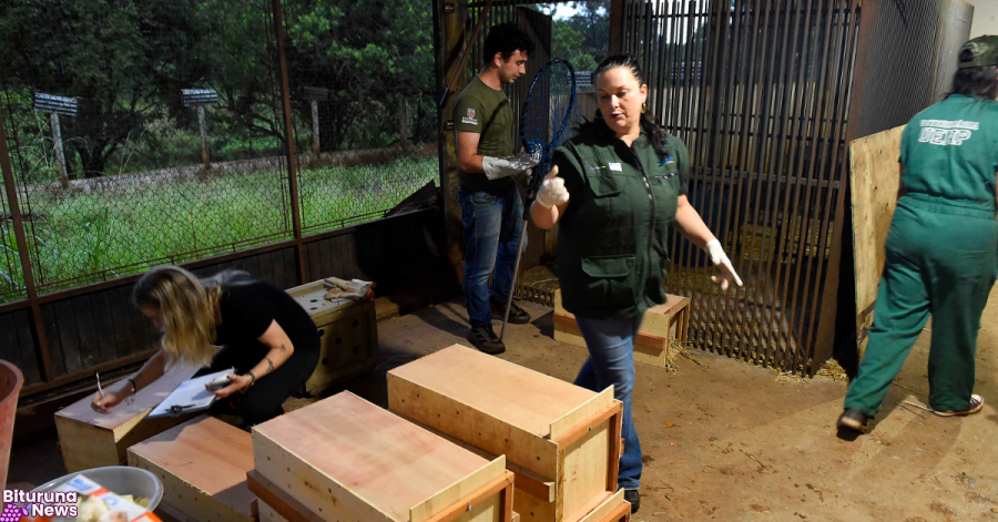 Canal do IAT recebe 2,8 mil denúncias de crimes ambientais em quatro meses