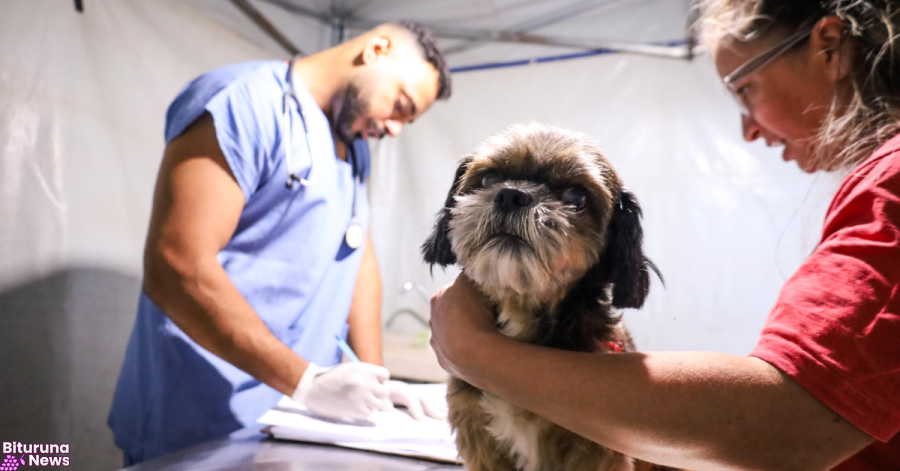 CastraPet Paraná atenderá 3,3 mil animais em julho; Porto Vitória, General Carneiro, Cruz Machado e outras cidades da região estão na lista