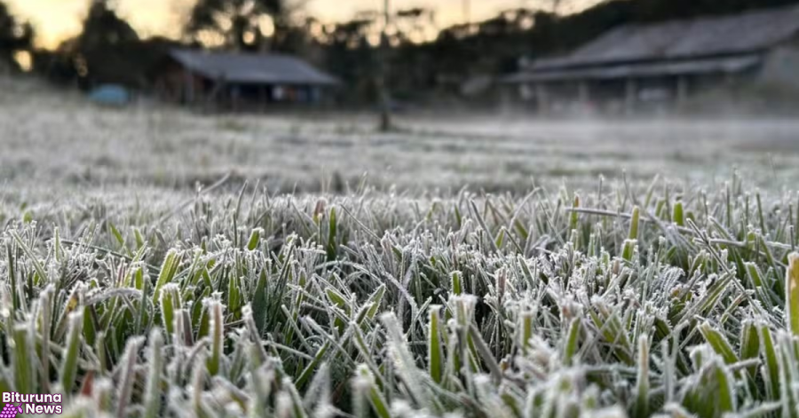 Região de Bituruna terá geada e temperaturas negativas na madrugada de quarta-feira (8)