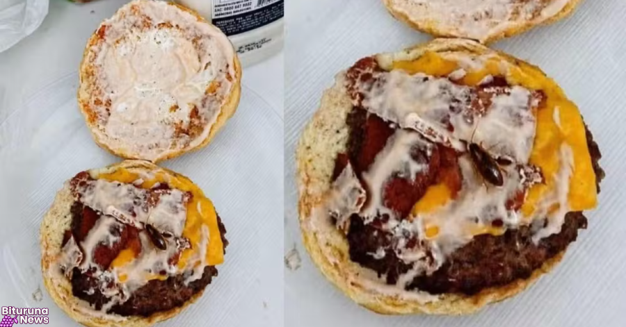 Cliente usa inteligência artificial para simular barata em lanche e pedir reembolso em cidade do Paraná