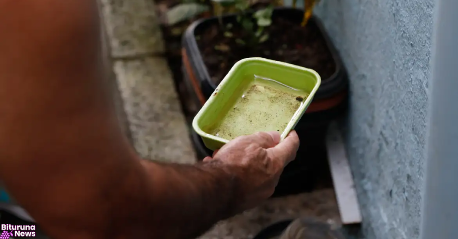 El Niño pode aumentar casos de chikungunya e dengue no Brasil