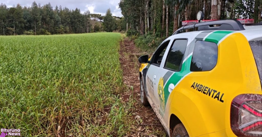 Polícia Ambiental multa proprietário em R$ 14 mil por desmatamento ilegal em Rio Azul