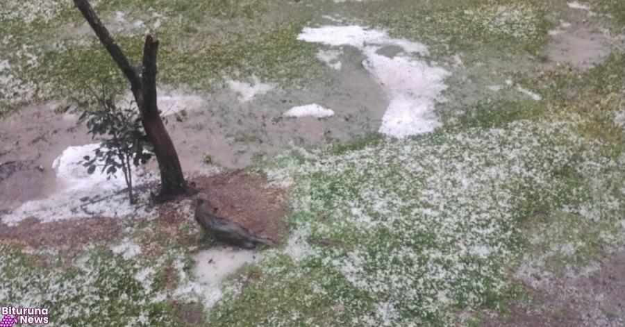 Granizo atinge Linha Bracatinga e PR-170 em Bituruna no final da tarde de sexta-feira