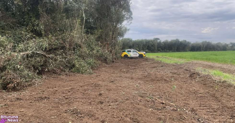 Propriedade rural em Pinhão é multada em R$ 7 mil por supressão de Mata Atlântica