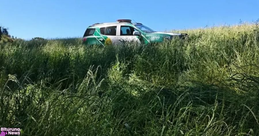 Polícia Ambiental multa proprietário em R$ 14 mil por destruição de mata nativa em Rio Azul