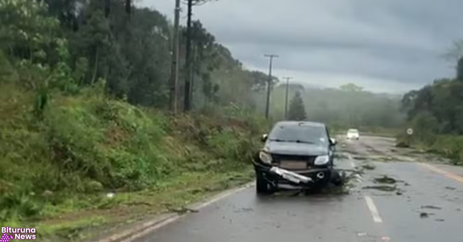 Vendaval derruba árvore sobre caminhonete na PR-459 em Reserva do Iguaçu