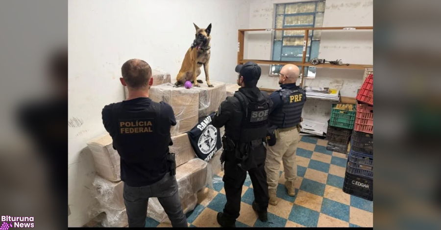 Força-tarefa apreende 926,8 kg de drogas em caminhão na BR-277 em Guarapuava