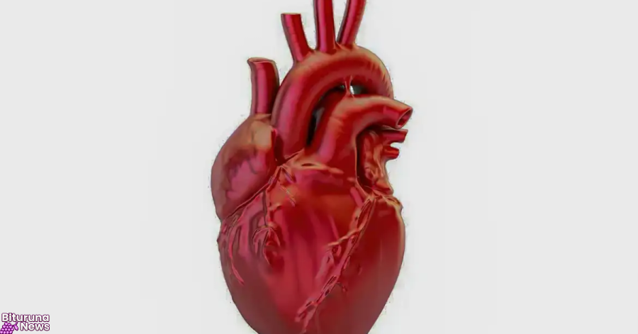 A cada 72 segundos, uma pessoa morre por doença cardiovascular no país