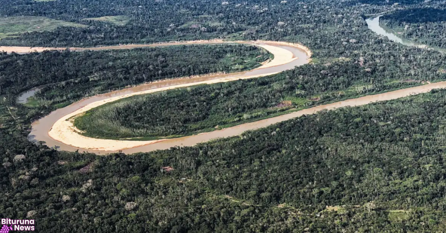 Fundo florestal criado pelo Brasil recebe US$ 500 milhões da Holanda para conservação de florestas